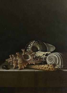 Adriaen Coorte - Shells on a Stone Plinth, 1698, oil on ... 