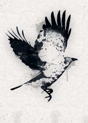Watercolour Raven 