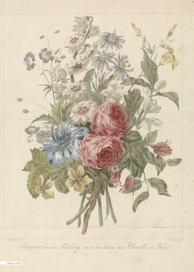 Vintage illustration of flowers 