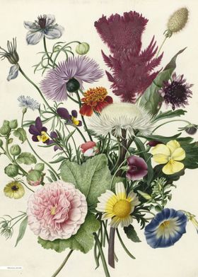 Vintage illustration of flowers 