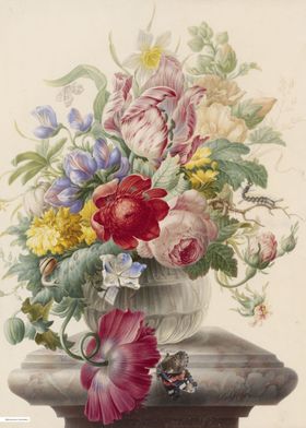 Vintage illustration of flowers 