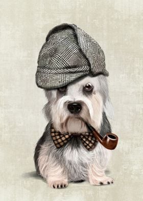 Mr Dandie Dinmont Terrier