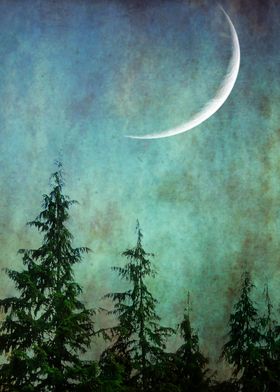 Moon and pine trees