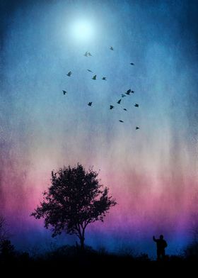 Night sky with birds
