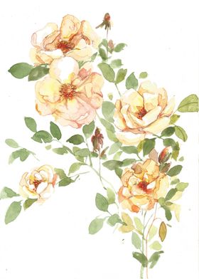 'Yellow Roses' Hand painted watercolour on paper agains ... 