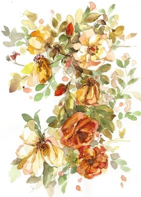 'Roses' Watercolour painting in warm colours, Painted p ... 