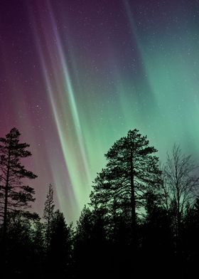 Night sky foto with aurora