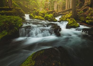 Panther Creek | Cascading water flows around mossy boul ... 