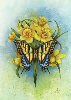 yellow butterfly and daffodils