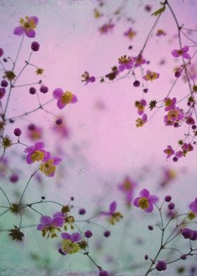 Color flowers photograph