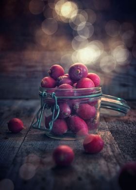Radishes in the jar