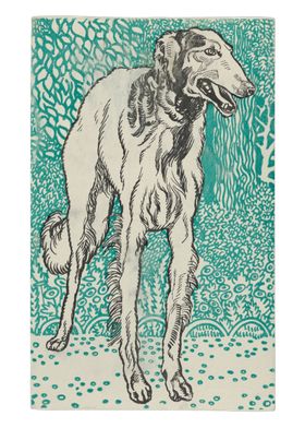 Moriz Jung - Greyhound, 1912, colour litograph; Collect ... 