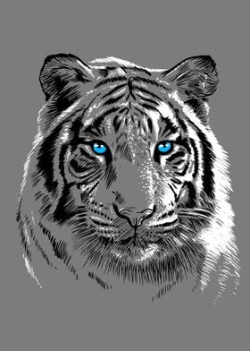 White Tiger