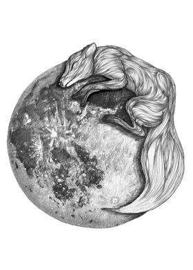 Moon Fox