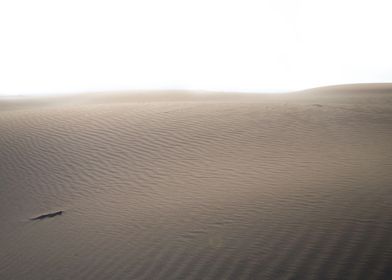 Desert photo.