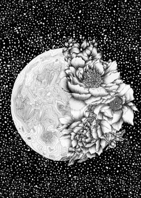 Moon Abloom was drawn with ballpoint pen.