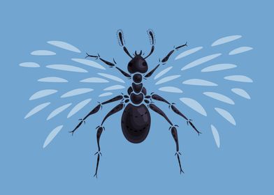 Abstract vector illustration of a flying ant with wings ... 