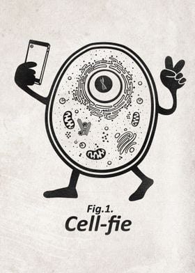 A cell during a selfie