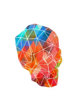 Skull Made of Color