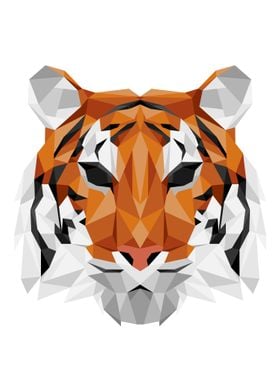 Geometric Tiger