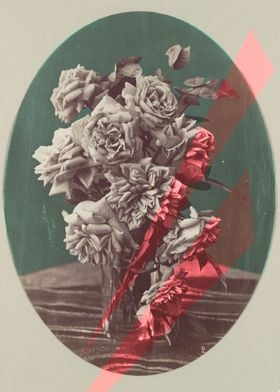 vintage roses with hip colours