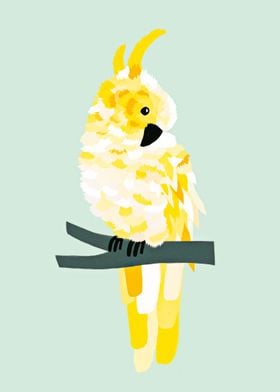 Yellow cockatoo
