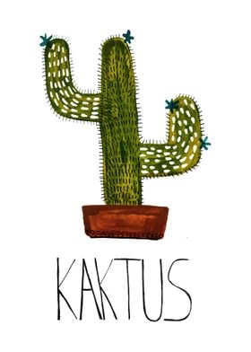 Plain Cactus 