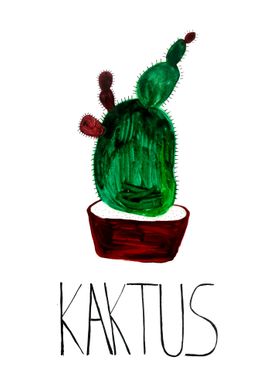 Plain cactus