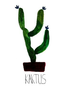 Plain Cactus