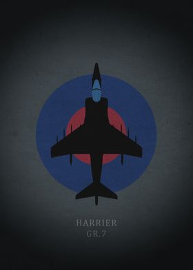 Harrier gr. 7