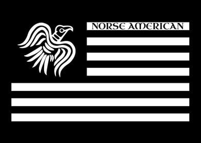 Norse American Raven Banner