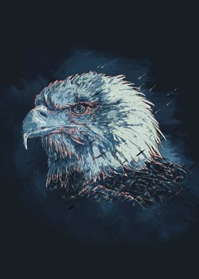 Eagle - Wild and Free