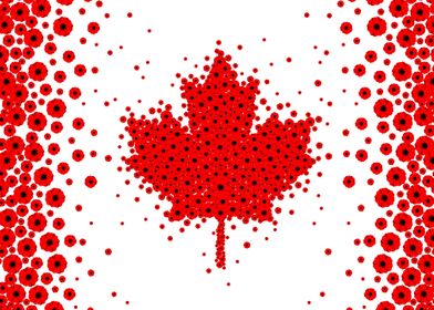 Canada Poppy - Horizontal