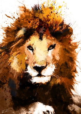 The Lion 