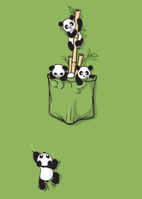 Pocket Pandas