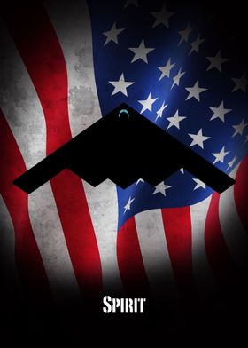 B-2 Spirit Stealth Bomber Stars and Stripes