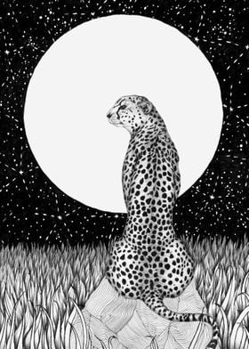 Cheetah Moon