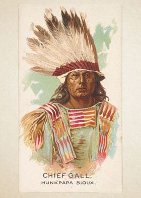 Chief Gall, Hunkpapa Sioux