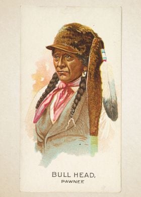 Bull Head, Pawnee