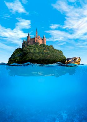 Turtle with castle 