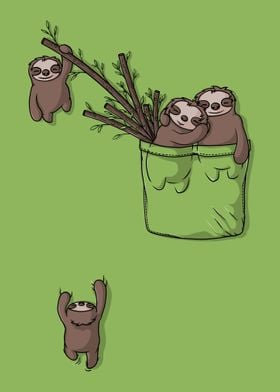 Pocket Sloths
