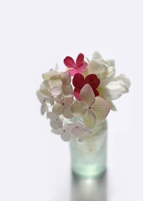 Hydrangeas and Gardenia in Aqua Blue Green Vase