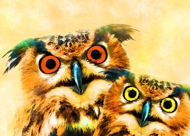 Owls