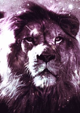 Leo Lion Mauve