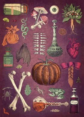 Collage Basic Ingredients for a Witch