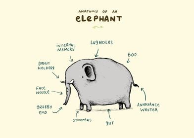 Anatomy of an Elephant