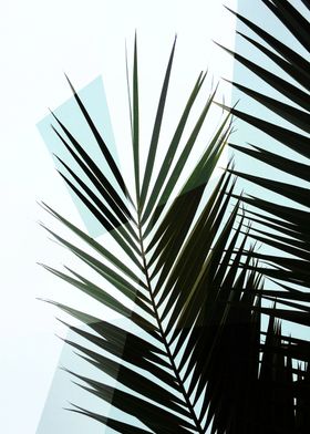 Geo Palm Leaf