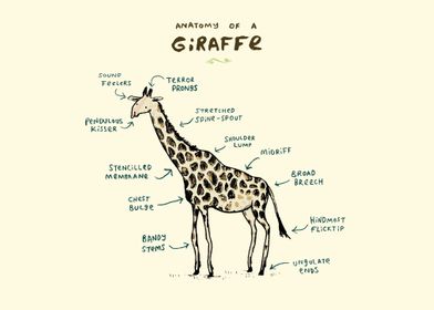 Anatomy of a Giraffe