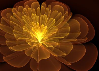 Golden Shining Chrysanthemum Flower