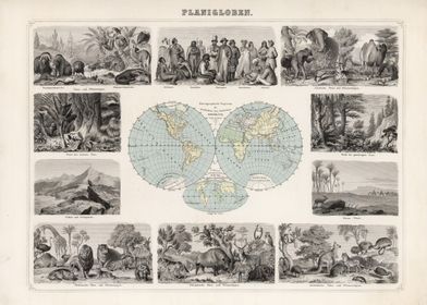 Vintage map hemispeheres - 1863